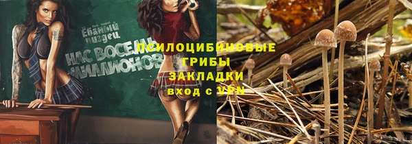 прущая мука Бугульма