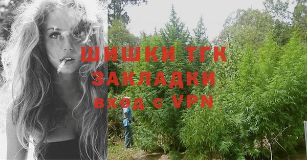 мет Бородино