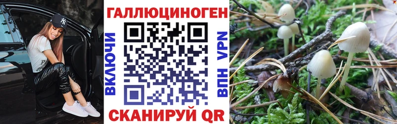 как найти наркотики  ссылка на мегу вход  Галлюциногенные грибы мухоморы  Салават 
